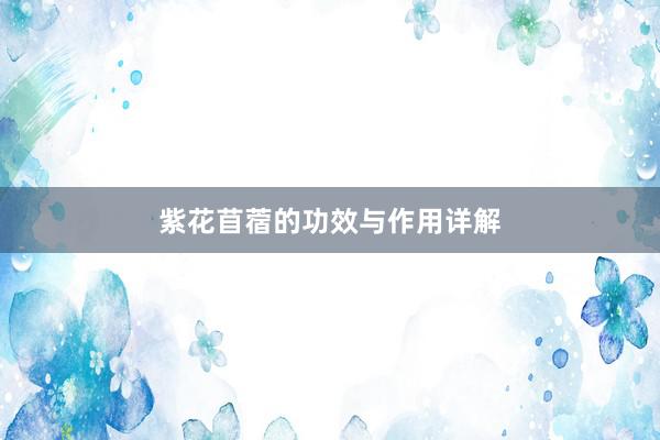 紫花苜蓿的功效与作用详解
